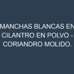 Manchas blancas en Cilantro en polvo – Coriandro molido. Manchas hojas blancas en Cilantro en polvo – Coriandro molido.