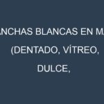 Manchas blancas en Maíz (Dentado, Vítreo, Dulce, Reventón). Manchas hojas blancas en Maíz (Dentado, Vítreo, Dulce, Reventón).