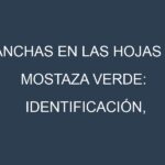 Manchas en las hojas de Mostaza verde: Identificación, Causas y Estrategias de Control Efectivo