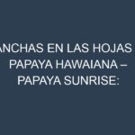 Manchas en las hojas de Papaya hawaiana – Papaya Sunrise: Identificación, Causas y Estrategias de Control Efectivo