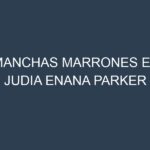 Manchas Marrones en Judia Enana Parker