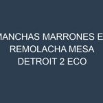 Manchas Marrones en Remolacha Mesa Detroit 2 Eco