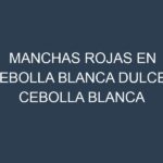 Manchas rojas en Cebolla blanca dulce – Cebolla blanca común. Hojas con manchas rojas en Cebolla blanca dulce – Cebolla blanca común.