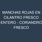 Manchas rojas en Cilantro fresco entero – Coriandro fresco completo. Hojas con manchas rojas en Cilantro fresco entero – Coriandro fresco completo.