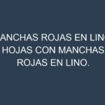 Manchas rojas en Lino. Hojas con manchas rojas en Lino.