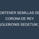 Obtener Semillas de Corona De Rey (Glebionis segetum.)