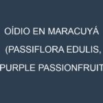 Oídio en Maracuyá (Passiflora edulis, Purple passionfruit, Granadilla, Gulupa): síntomas, ciclo de vida y estrategias de control