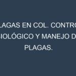 Plagas en Col. Control biológico y Manejo de plagas.