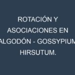 Rotación y Asociaciones en Algodón – Gossypium hirsutum. Estrategias de rotación y Beneficios de las asociaciones de cultivos.