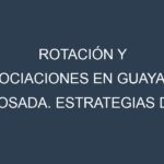 Rotación y Asociaciones en Guayaba rosada. Estrategias de rotación y Beneficios de las asociaciones de cultivos.