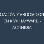 Rotación y Asociaciones en Kiwi Hayward – Actinidia deliciosa. Estrategias de rotación y Beneficios de las asociaciones de cultivos.