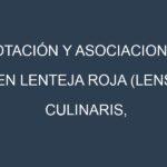 Rotación y Asociaciones en Lenteja roja (Lens culinaris, red lentil). Estrategias de rotación y Beneficios de las asociaciones de cultivos.
