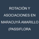 Rotación y Asociaciones en Maracuyá amarillo (Passiflora edulis f. flavicarpa, P. quadrangularis, Sweet Granadilla, Banana Passionfruit, Giant Granadilla). Estrategias de rotación y Beneficios de las asociaciones de cultivos.