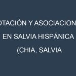 Rotación y Asociaciones en Salvia hispánica (Chia, salvia hispanica). Estrategias de rotación y Beneficios de las asociaciones de cultivos.