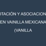 Rotación y Asociaciones en Vainilla mexicana (Vanilla planifolia, Mexican vanilla). Estrategias de rotación y Beneficios de las asociaciones de cultivos.