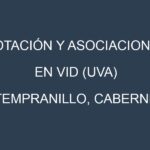 Rotación y Asociaciones en Vid (uva) (Tempranillo, Cabernet Sauvignon, Chardonnay, Merlot, Syrah). Estrategias de rotación y Beneficios de las asociaciones de cultivos.