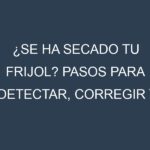 ¿Se ha secado tu Frijol? Pasos para Detectar, Corregir y Prevenir.