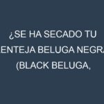 ¿Se ha secado tu Lenteja beluga negra (Black Beluga, Spanish Beluga, Petite Noir, Beluga Russe, French Black)? Pasos para Detectar, Corregir y Prevenir.
