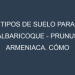 Tipos de suelo para Albaricoque – Prunus armeniaca. Cómo ajustar las condiciones del suelo.