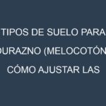 Tipos de suelo para Durazno (melocotón). Cómo ajustar las condiciones del suelo.