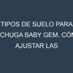 Tipos de suelo para Lechuga baby gem. Cómo ajustar las condiciones del suelo.