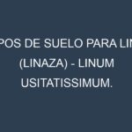Tipos de suelo para Lino (linaza) – Linum usitatissimum. Cómo ajustar las condiciones del suelo.