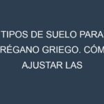 Tipos de suelo para Orégano griego. Cómo ajustar las condiciones del suelo.