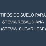 Tipos de suelo para Stevia rebaudiana (Stevia, sugar leaf). Cómo ajustar las condiciones del suelo.
