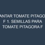 Plantar Tomate Pitagora F 1. Semillas para Tomate Pitagora F 1. Enfermedades Tomate Pitagora F 1.
