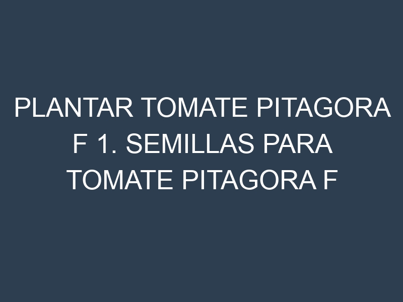 Plantar Tomate Pitagora F 1. Semillas para Tomate Pitagora F 1. Enfermedades Tomate Pitagora F 1.
