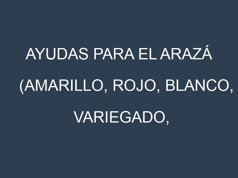 Ayudas para el Arazá (Amarillo, Rojo, Blanco, Variegado, Sabara). Ayudas para el cultivo. Subvenciones.