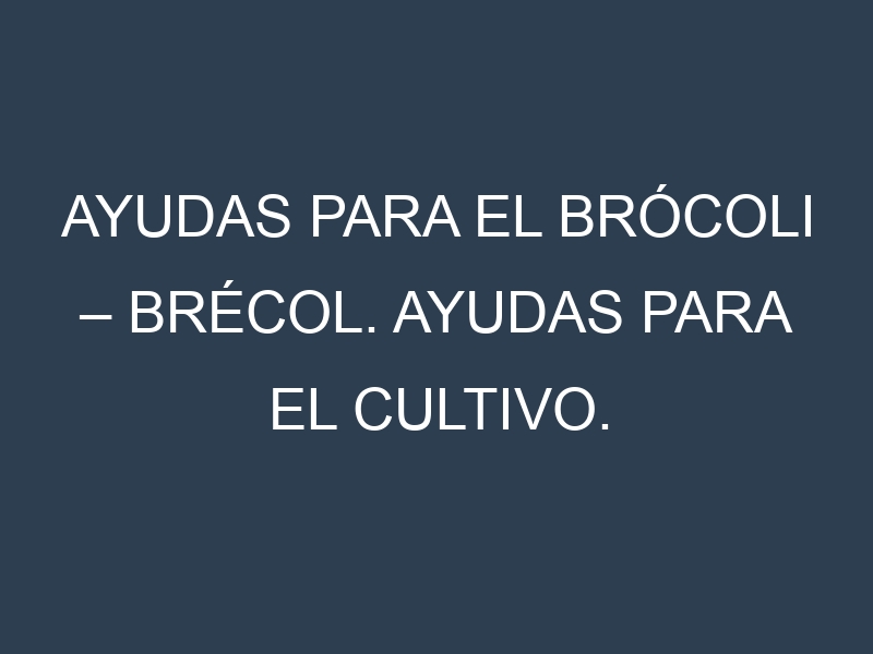 Ayudas para el Brócoli – Brécol. Ayudas para el cultivo. Subvenciones.