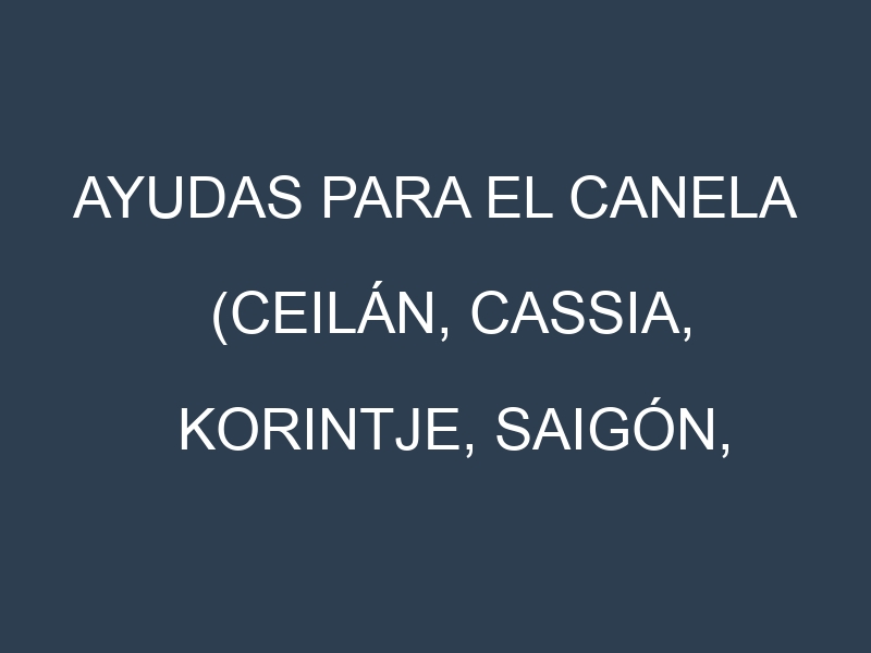 Ayudas para el Canela (Ceilán, Cassia, Korintje, Saigón, Malabar). Ayudas para el cultivo. Subvenciones.
