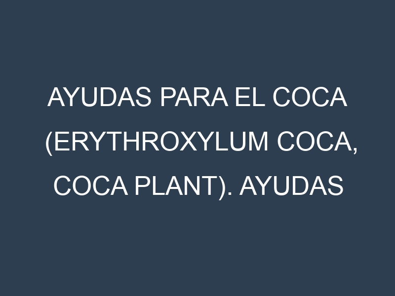 Ayudas para el Coca (Erythroxylum coca, coca plant). Ayudas para el cultivo. Subvenciones.