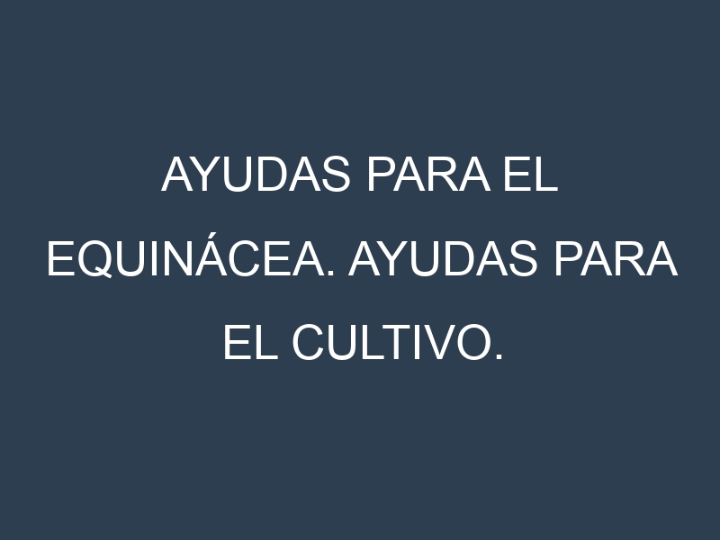 Ayudas para el Equinácea. Ayudas para el cultivo. Subvenciones.