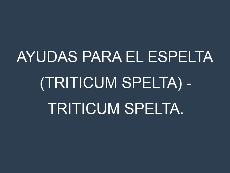 Ayudas para el Espelta (Triticum spelta) – Triticum spelta. Ayudas para el cultivo. Subvenciones.