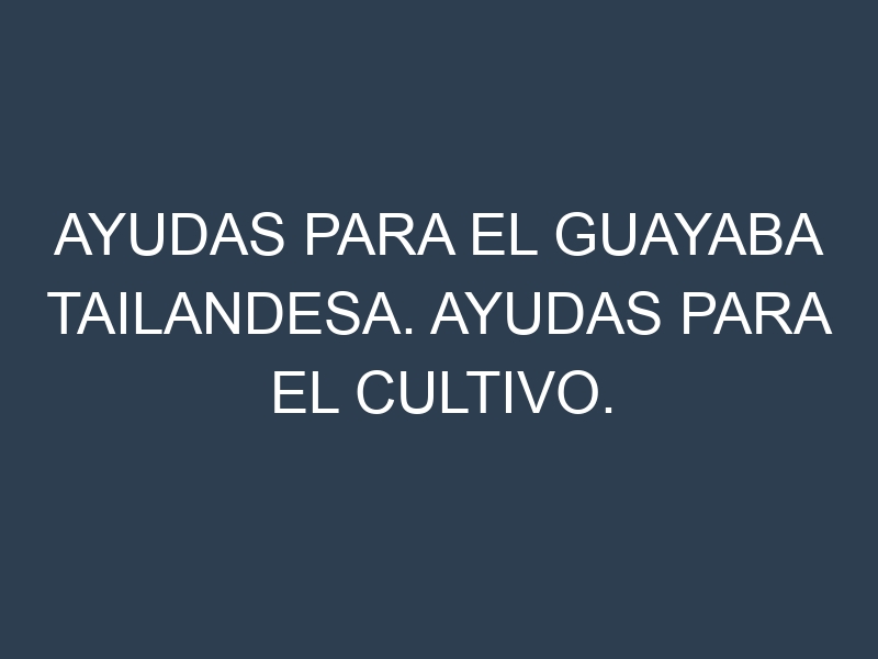 Ayudas para el Guayaba tailandesa. Ayudas para el cultivo. Subvenciones.