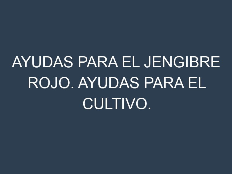 Ayudas para el Jengibre rojo. Ayudas para el cultivo. Subvenciones.