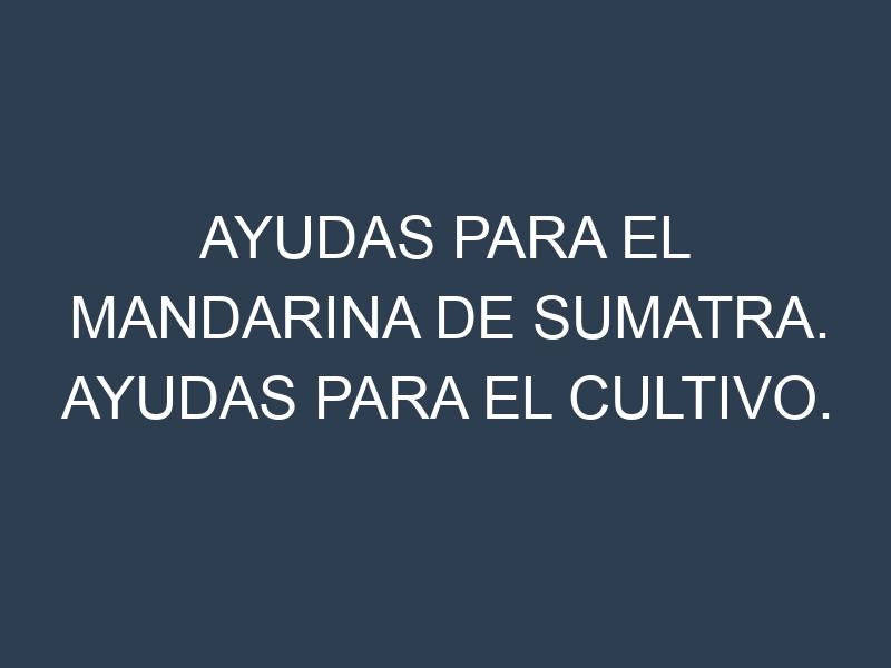 Ayudas para el Mandarina de Sumatra. Ayudas para el cultivo. Subvenciones.