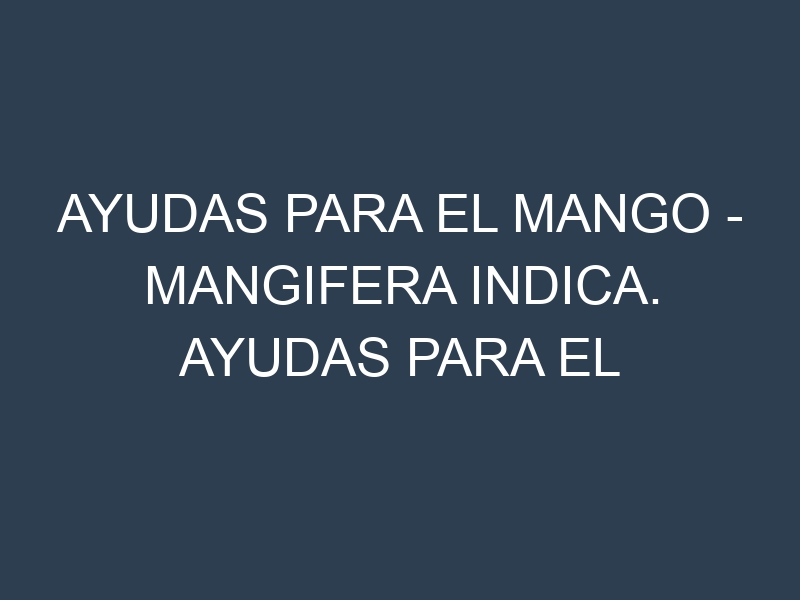 Ayudas para el Mango – Mangifera indica. Ayudas para el cultivo. Subvenciones.