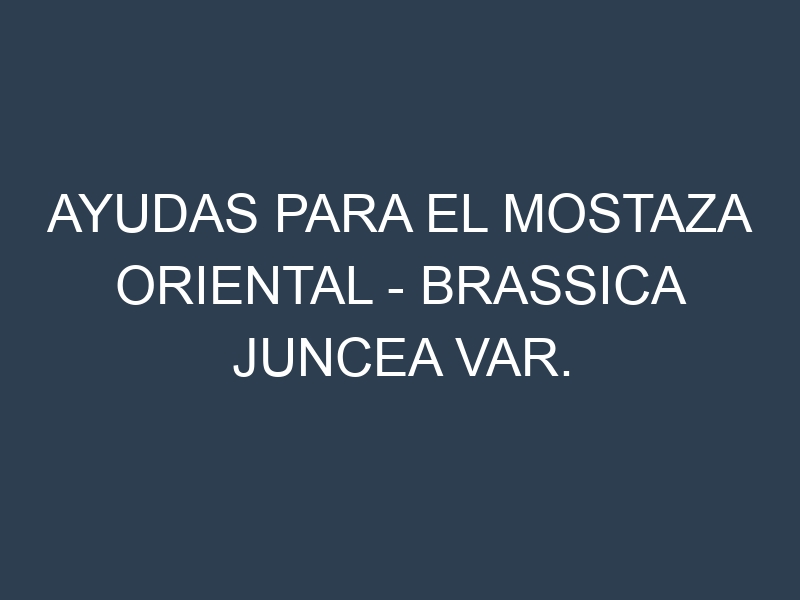 Ayudas para el Mostaza oriental – Brassica juncea var. rugosa. Ayudas para el cultivo. Subvenciones.