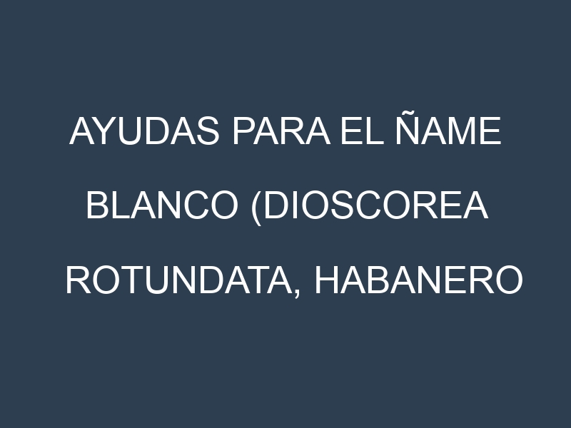 Ayudas para el Ñame blanco (Dioscorea rotundata, Habanero White, Cocoyam, Yellow Guinea Yam, True Yam). Ayudas para el cultivo. Subvenciones.
