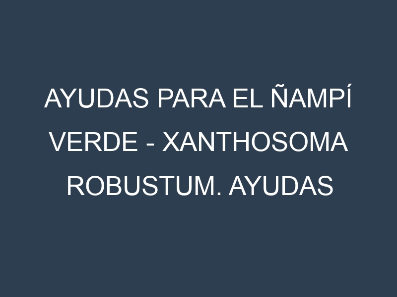 Ayudas para el Ñampí Verde – Xanthosoma robustum. Ayudas para el cultivo. Subvenciones.
