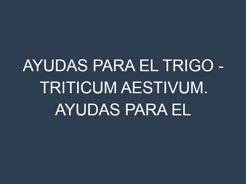 Ayudas para el Trigo – Triticum aestivum. Ayudas para el cultivo. Subvenciones.