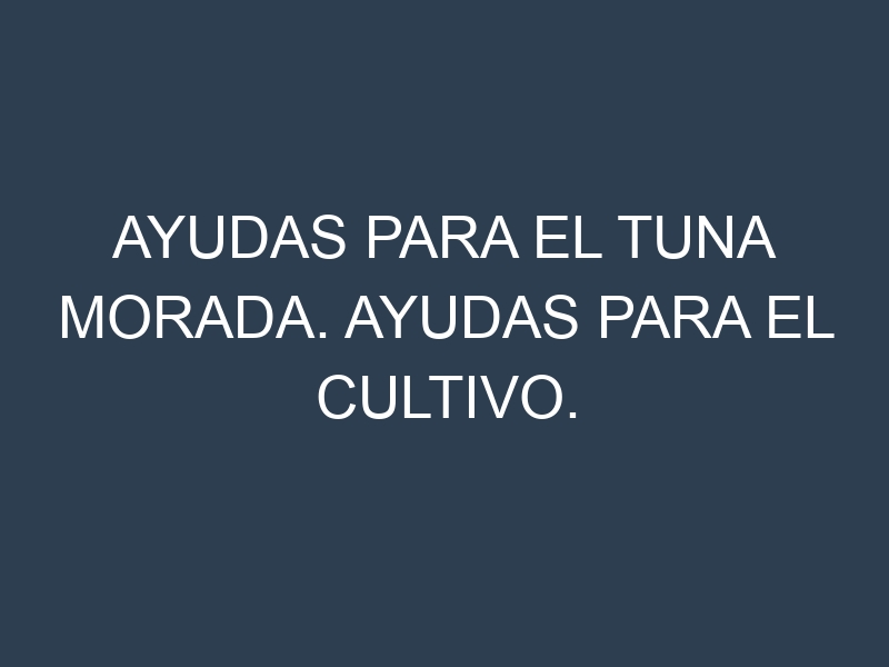 Ayudas para el Tuna morada. Ayudas para el cultivo. Subvenciones.