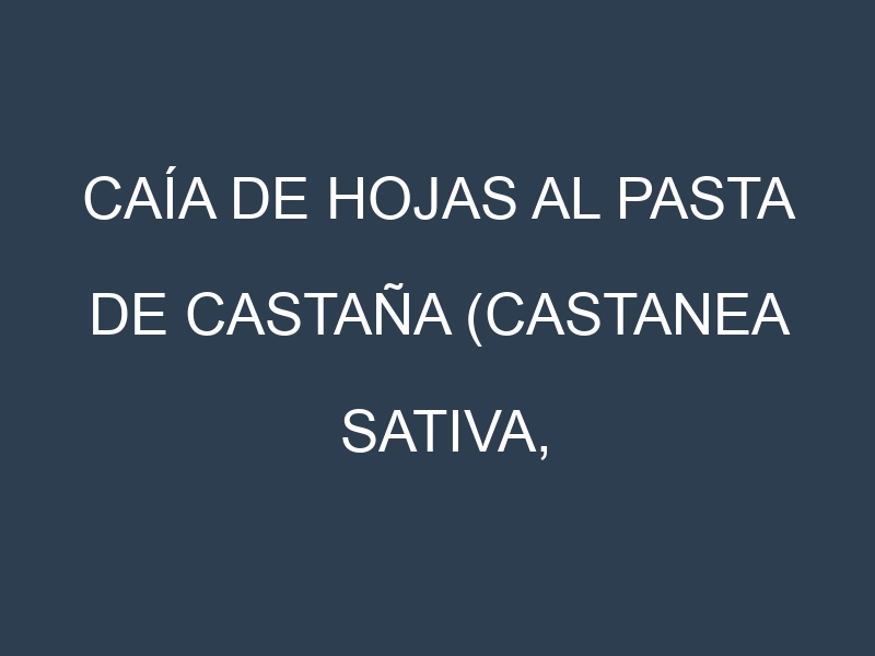 Caía de hojas al Pasta de castaña (Castanea sativa, Castaña dulce, Castaña triturada)