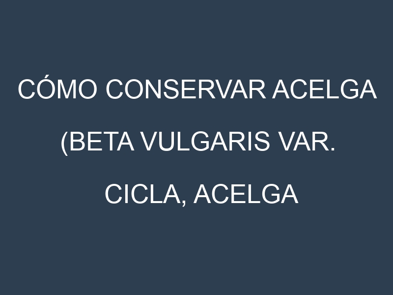 Cómo conservar Acelga (Beta vulgaris var. cicla, Acelga común, Acelga suiza).