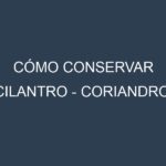 Cómo conservar Cilantro – Coriandro.