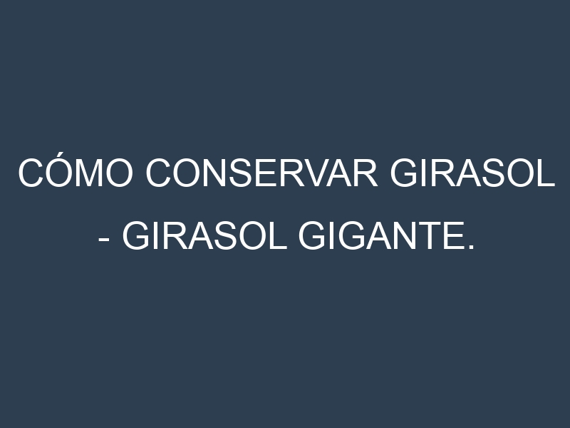 Cómo conservar Girasol – Girasol gigante.