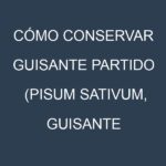 Cómo conservar Guisante partido (Pisum sativum, Guisante partido común, Guisante partido amarillo).